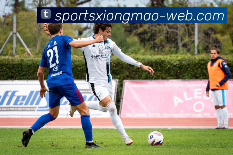 熊猫体育发展历程